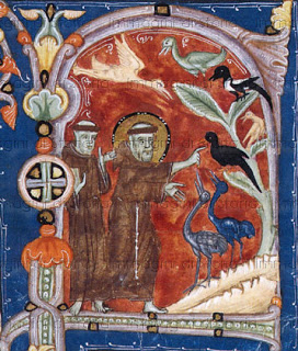 S. Francesco predica agli uccelli", Codice miniato (sec. XIII),  Museo Civico Amedeo Lia, La Spezia
