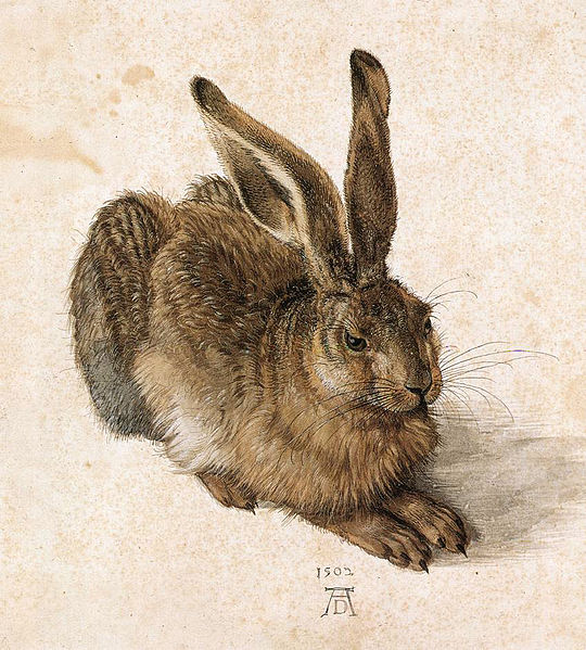 Albrecht Dürer, Jonge haas, 1502: Albertina, Wenen