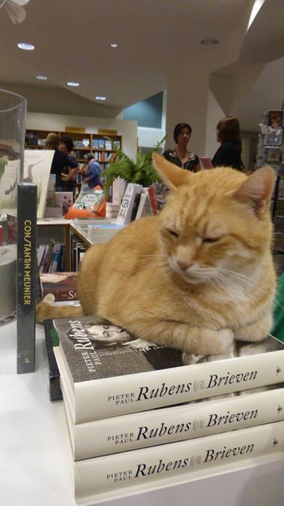 Kat met Rubens (foto P. Lateur)